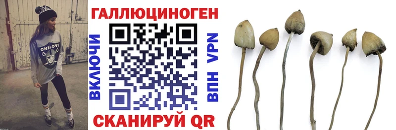 Галлюциногенные грибы Psilocybine cubensis  Темников 
